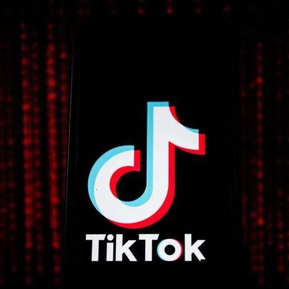 TIKTOKŮ-ϸDJ-MP4Ƶ