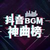 《2023年1-12月抖音热门BGM音乐合集汇总》高清迅雷下载